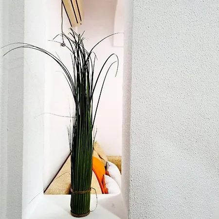 ホテル Complex Arges - Garden & Retreat エフォリエ・ノルド