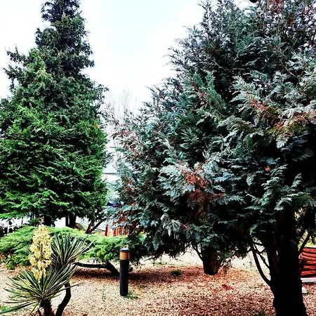 Complex Arges - Garden & Retreat ホテル