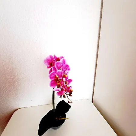 Complex Arges - Garden & Retreat ホテル エフォリエ・ノルド