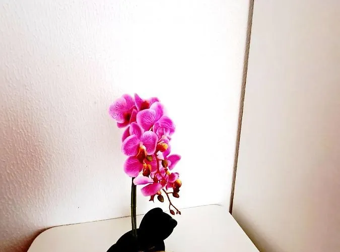 Argeș Hotel Eforie Nord