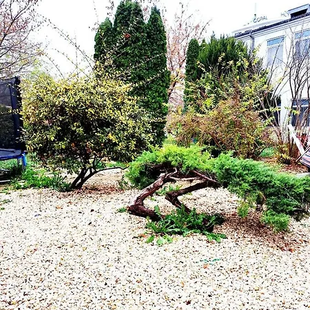 Complex Arges - Garden & Retreat