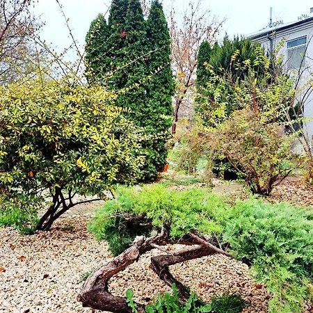 Complex Arges - Garden & Retreat