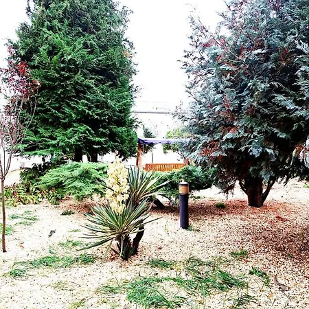 Complex Arges - Garden & Retreat 2* Eforie Nord